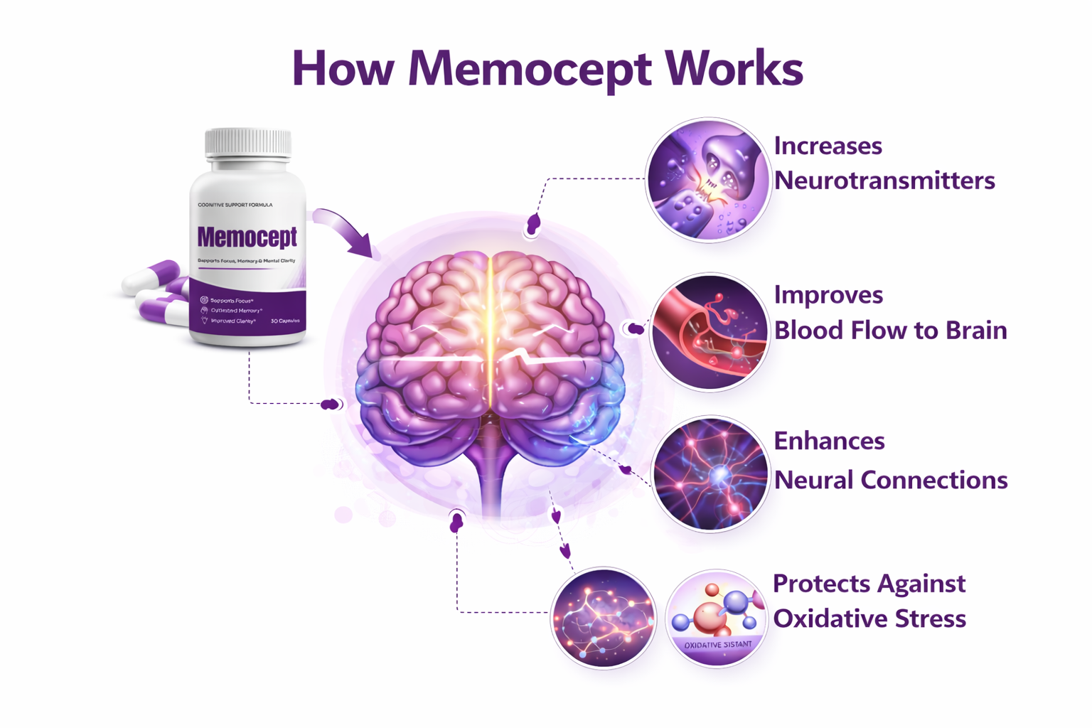 How Memocept works: memory, focus, energy, resilience